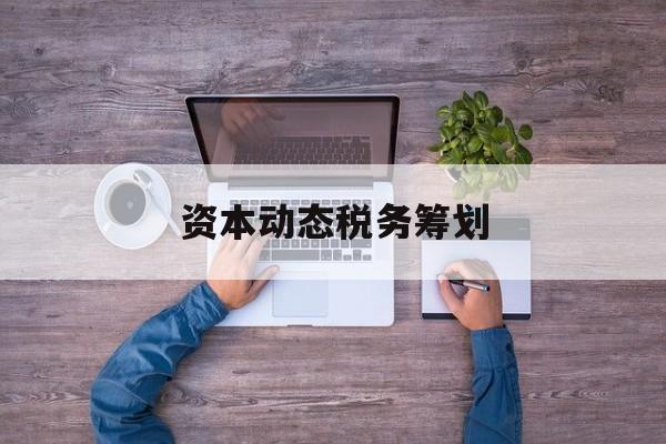 资本动态税务筹划(资本动态税务筹划案例)那曲市 资本动态税务筹划(资本动态税务筹划案例)那曲市