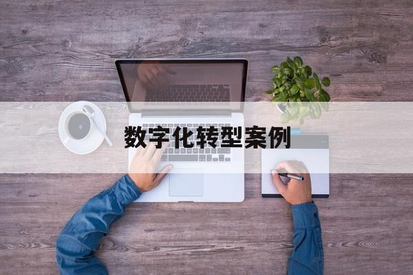 数字化转型案例(数字化转型案例公司)那曲市